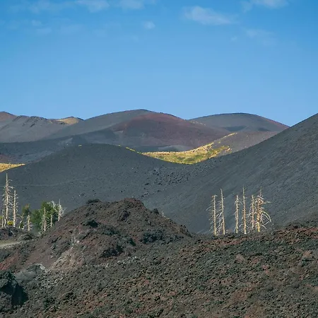 A Casa Di Mimmo Semesterbostad *